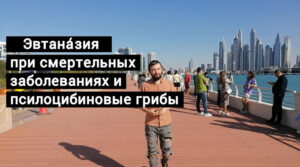 Эвтана́зия при смертельных заболеваниях и грибы