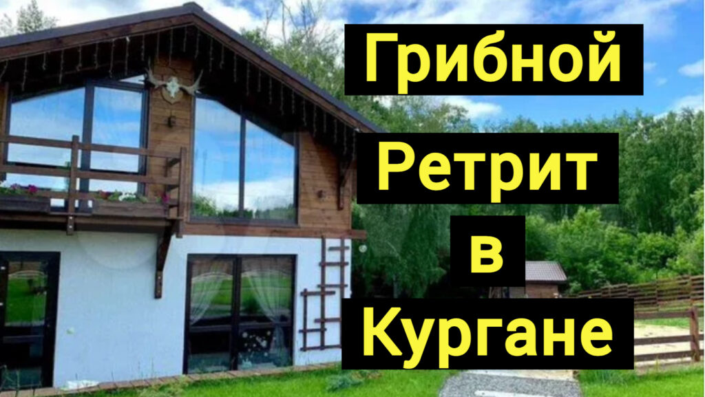 Грибные ретриты в Кургане ( #KusarinRetriT )